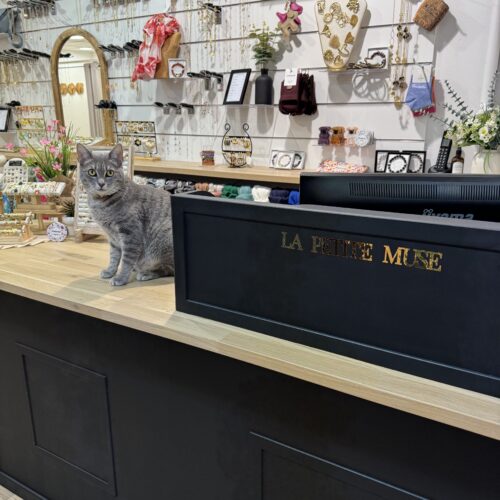 LA PETITE MUSE